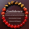 Tiger Eye & Garnet Bracelet - Crystal Gift for Men
